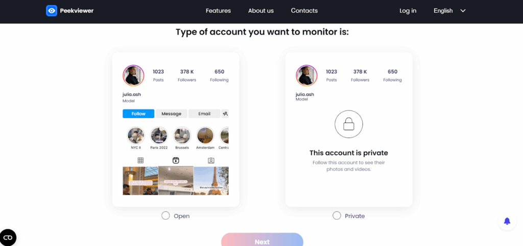 How Does Peekviewer Work? - choose account type