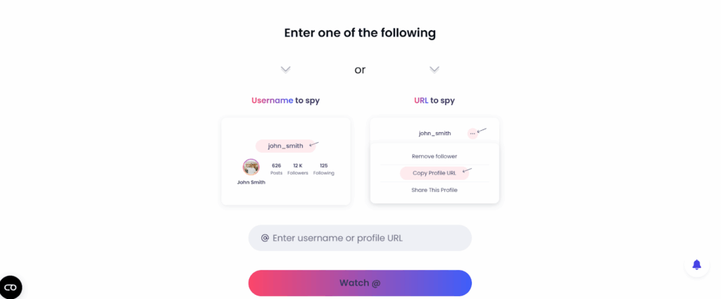 How Does Peekviewer Work? - enter username or url